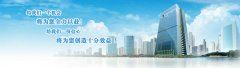 南寧法定代表人的法律責任和風險？